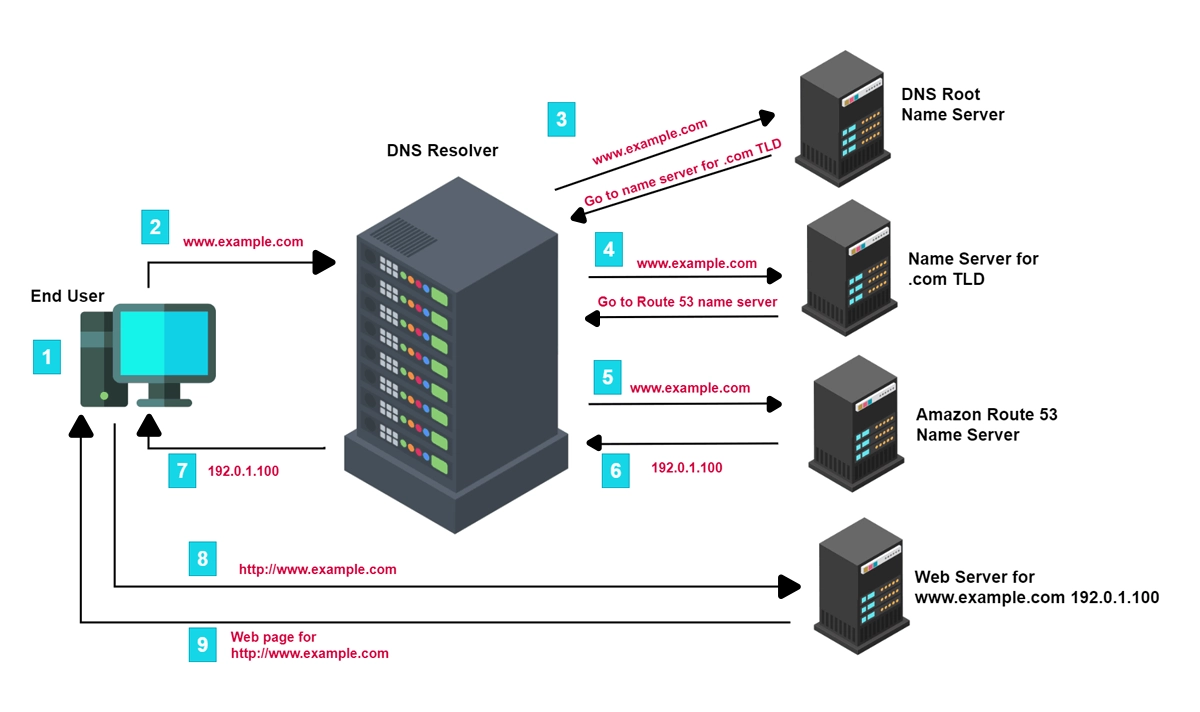 Domain Name System (DNS)